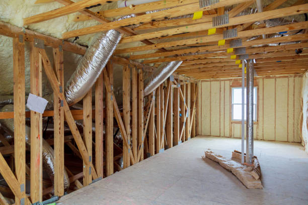Best Insulation Inspection Services  in Waupun, WI
