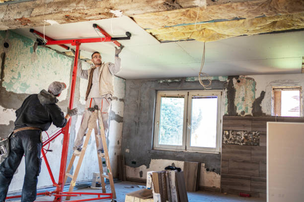 Best Local Insulation Services  in Waupun, WI